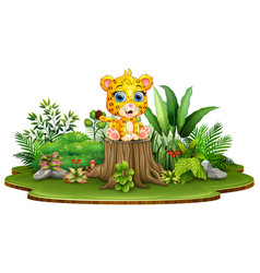 Cartoon Happy Baby Leopard Sitting On Tree Stump W