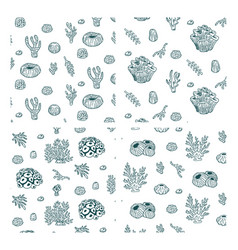 Seamless Pattern With Sketch Of Seal Ocean Life