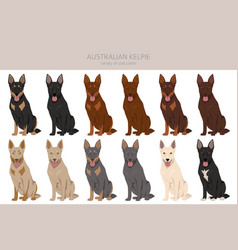 Australian Kelpie All Colours Clipart Different