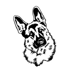 German Shepherd Svg Dog Files For Cricut