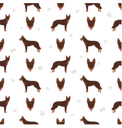 Australian Kelpie All Colours Seamless Pattern