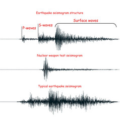 Seismogram Set