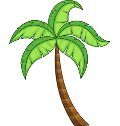 Cartoon Tropical Palm Tree