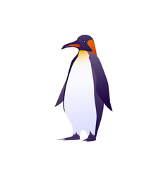 Emperor Penguin Flat Isolated