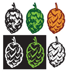 Set of images plant herbs for cooking Royalty Free Vector