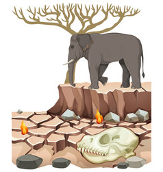 Desolate Landscape With Elephant And Death Animal