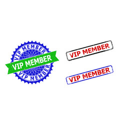 Vip Member Rosette And Rectangle Bicolor Badges