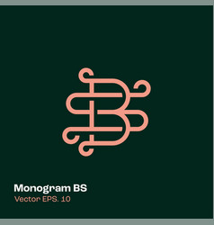 Monogram Logo Bs