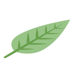 Soursop Leaf Icon Isometric Style