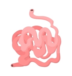 Small Intestine Cartoon Icon