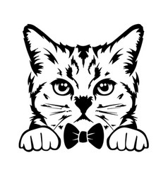 Isolated Line Art Cat With Bow Tie