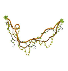 Twisted Wild Lianas Branches Banner Jungle Vine