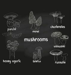 Mushrooms Set Collection Of Doodle Fungus