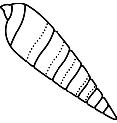 Auger Sea Shell Beach Line Icon