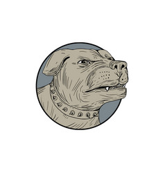 Rottweiler Guard Dog Head Angry Drawing