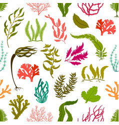 Underwater Seaweed Plants Seamless Pattern