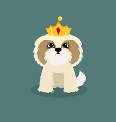 Dog With Crown Stock