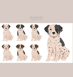 Bullmatian Clipart Bulldog Dalmatian Mix