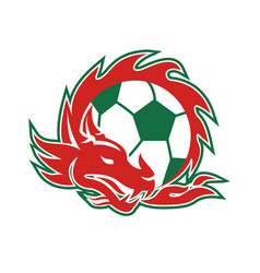 Welsh Dragon Soccer Ball