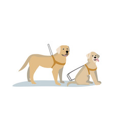 Guide Dog Isolated Flat Stock Set