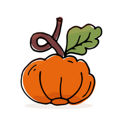 Autumn Pumpkin Isolated Theme