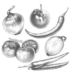 Sketch Vintage Vegetables Set