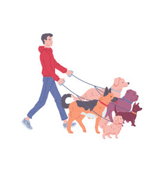 Man Working As Dog Walker Or Pet Sitter Hand