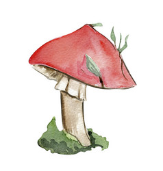 Red Mushroom Hand Painted Fairy Tale