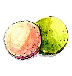 Watercolor Of French Macarons Pink And Green