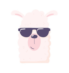 Llama With Sunglasses