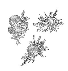 Monochrome Tropical Protea Flowers And Leaves