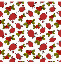 Pattern Cranberry And Pomegranate On White