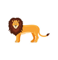 Lion Animal Isolated