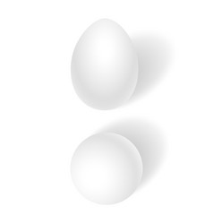 White Realistic Eggs Top View And Side View