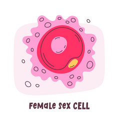 Female Sex Human Cell