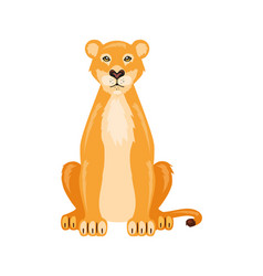 Lion Female Animal Isolated