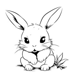 Rabbit Black And White Cartoon Isolated On White