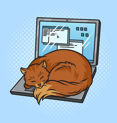 Cat Sleeping On Laptop Pop Art