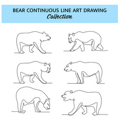 Set Of Bear Line Design Wildlife Decorative