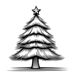 Christmas Tree Sketch With Star Hand Drawn