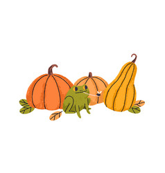 Orange Pumpkins Fall Harvest And Cute Funny Frog