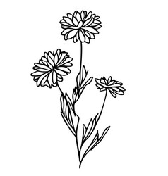 Minimalist Aster Flower Tattoo Black And White