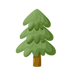 Evergreen Tree Fir Tree Pine Drawing Cartoon