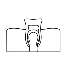 Design Tooth And Gingiva Icon Graphic