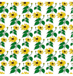 Yellow Black Eyed Susan Flower Branch Seamless