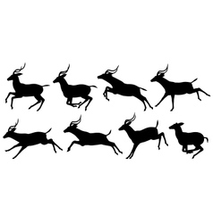 Running Antelope