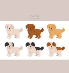 Eskapoo Clipart Eskimo Dog Poodle Mix Different