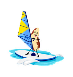 Cartoon Cheerful Brazil Nut Enjoying Windsurfing