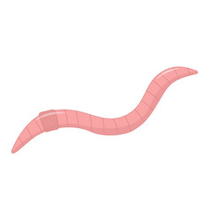 Earthworm Cartoon Style Isolated On White