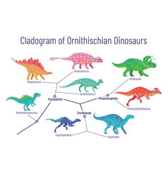 Cladogram Ornithischian Dinosaurs